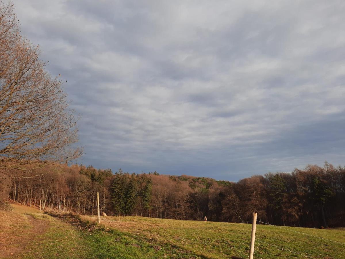 Erholungsheim Im Wienerwald Irenental Eksteriør billede